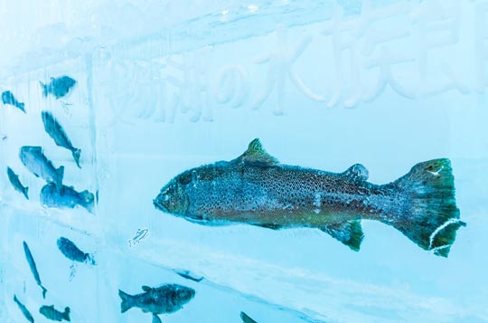 千歳・支笏湖 氷濤まつり